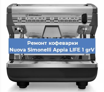 Декальцинация кофемашины Nuova Simonelli Appia LIFE 1 grV в Белгороде